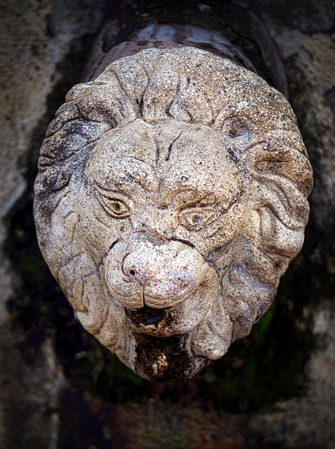 statue, sculpture, source, water, leon, nature, concept, history, stones, forest